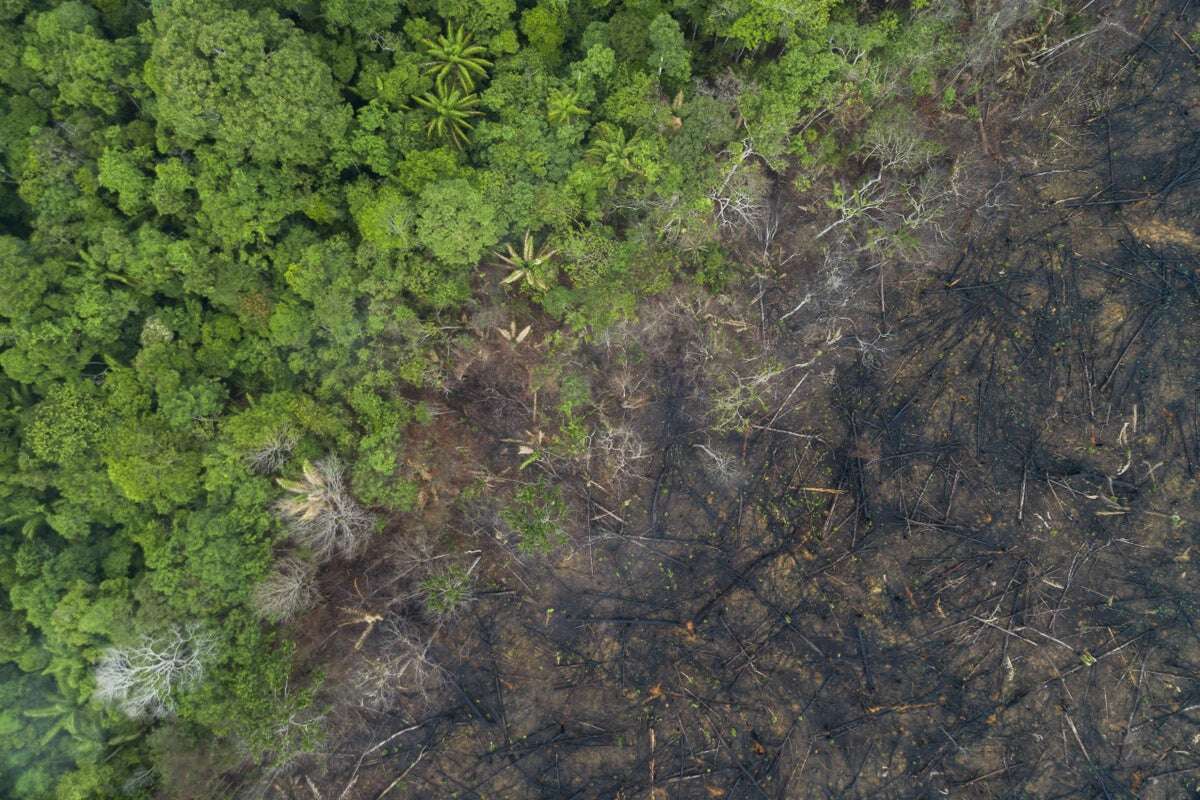 Tribesman filmed emerging from Amazon and asking for fire