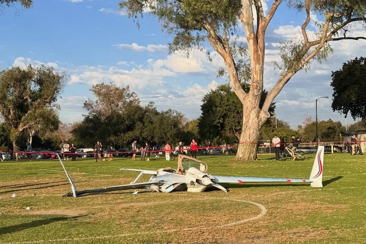 Deaf California woman survives being hit by plane as she walked dog