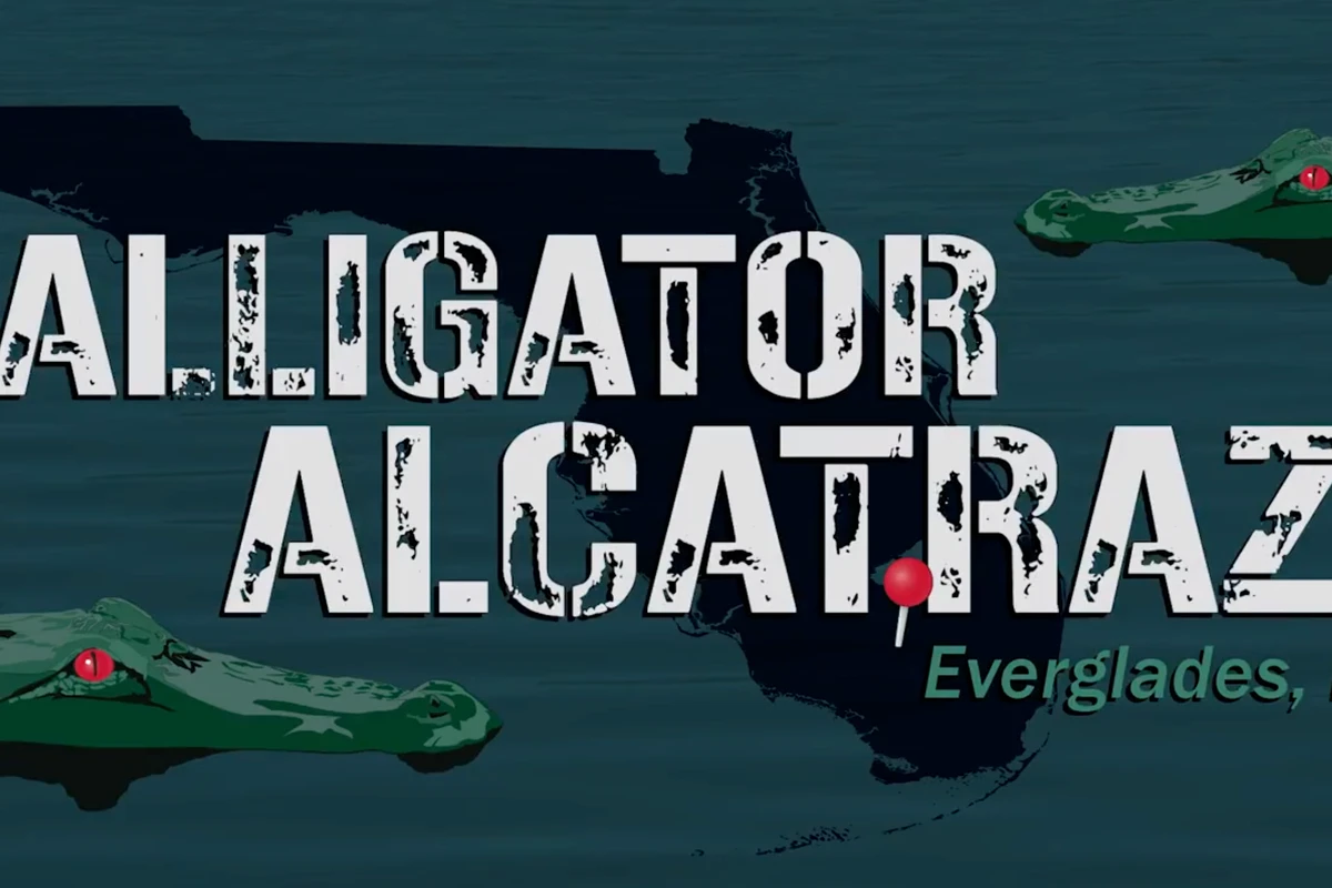 MAGA star skewered for gleefully promoting ‘Alligator Alcatraz merch’