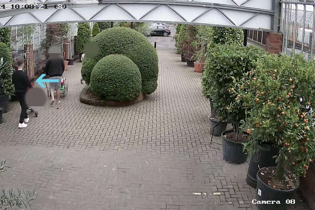 CCTV shows killer visited garden centre hours before crossbow murders