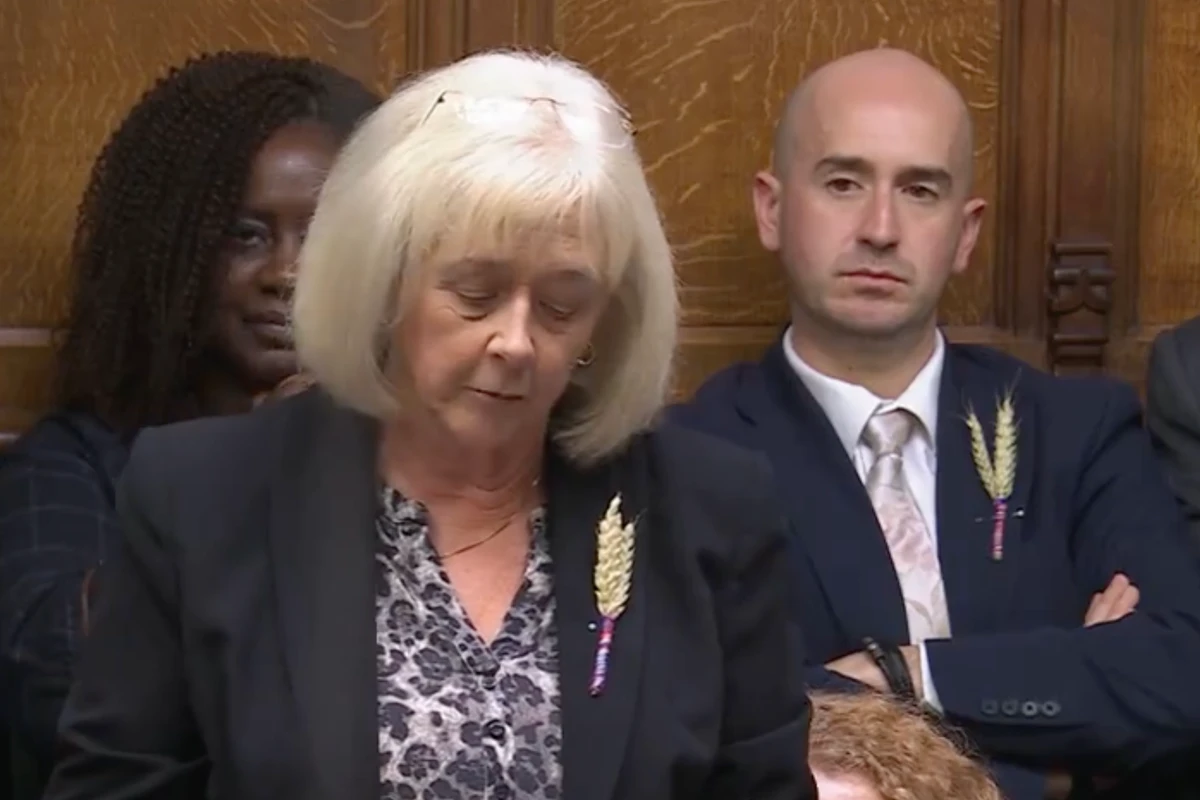 Why are MPs wearing a wheat sheaf on their lapels?