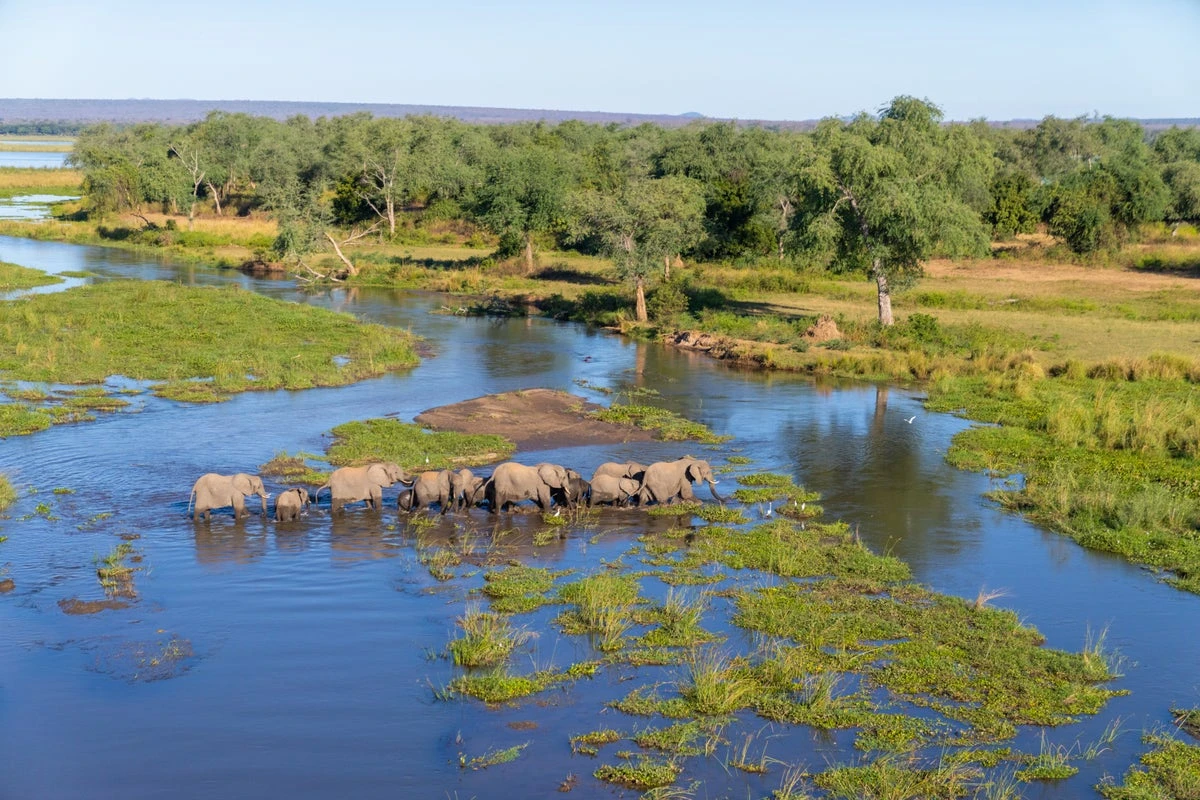 The struggle to protect wildlife as Trump’s aid cuts start to bite