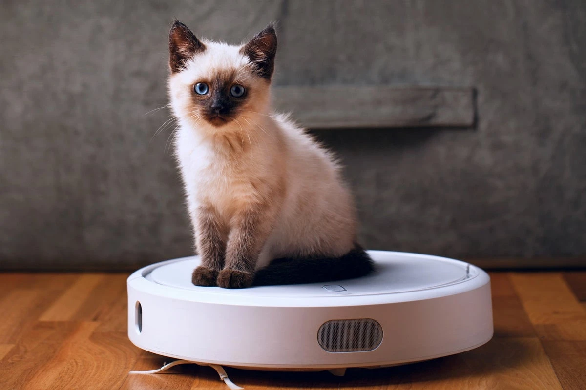Robot vacuums can water plants and play with pets, researchers say