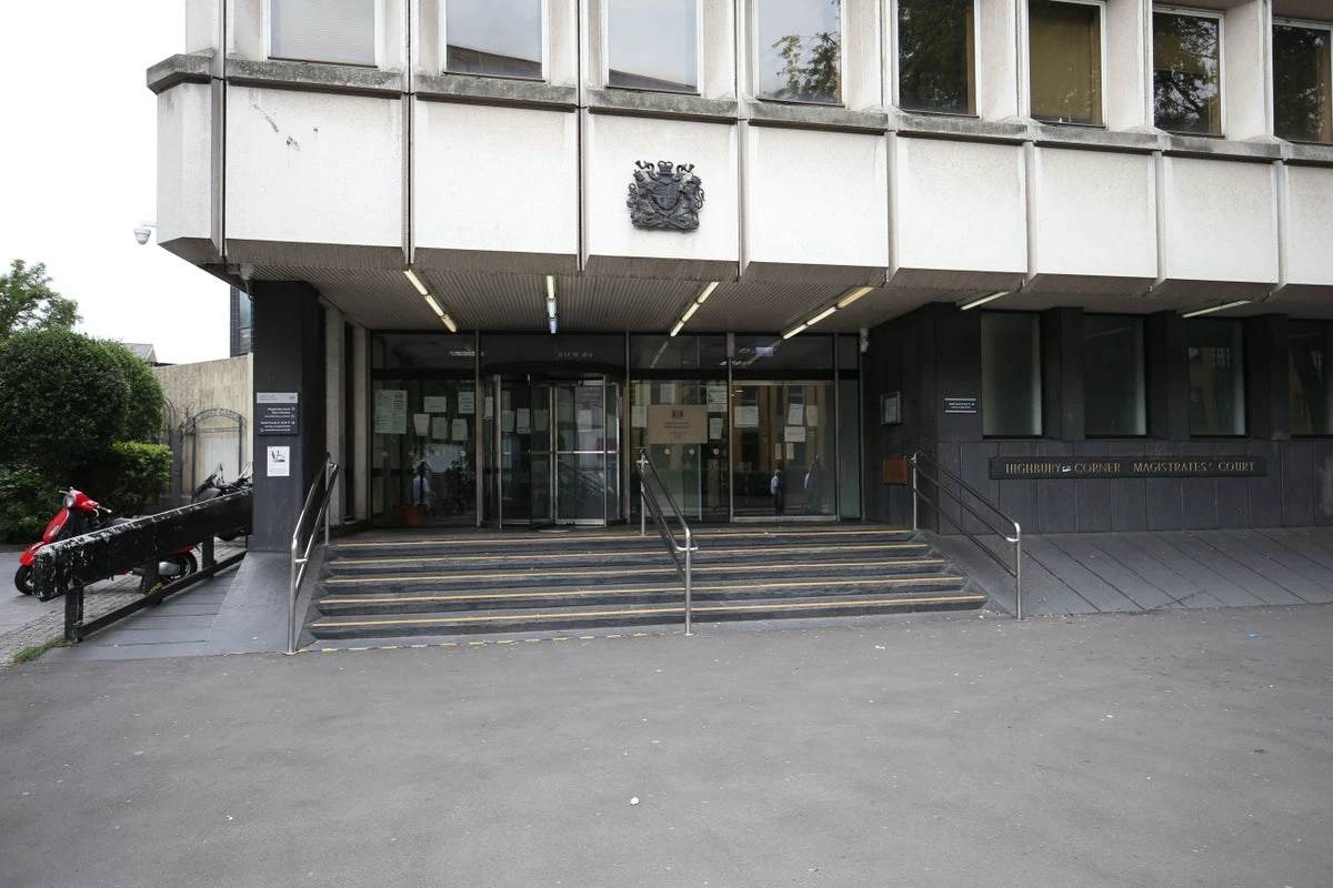 Teenager detained for ‘sadistic’ torture and killing of two kittens