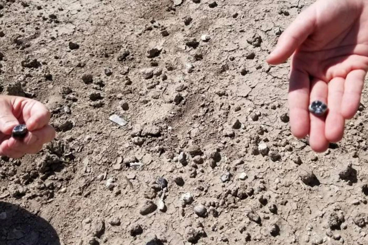 Human species that lived alongside our oldest ancestors discovered