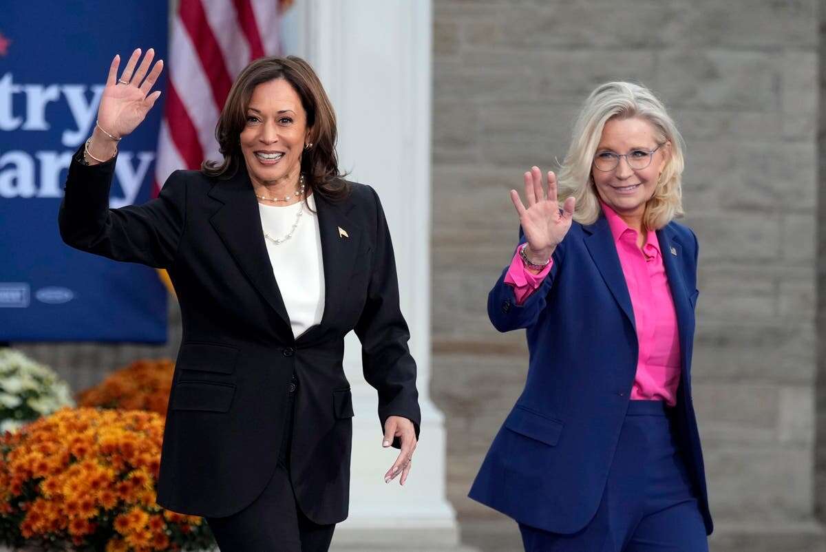 Trump mocks ‘low IQ War Hawk’ Liz Cheney after Harris endorsement