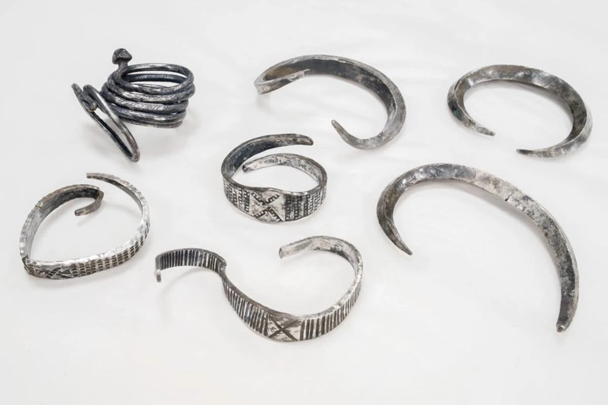 Denmark student unearths ‘spectacular silver treasure’ from Viking Age
