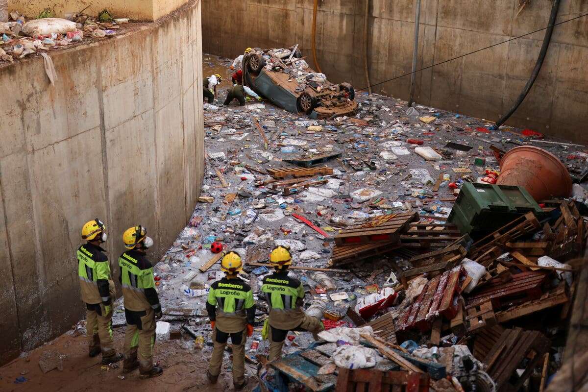 Spain: Dogs used in search for missing as vigilantes patrol streets