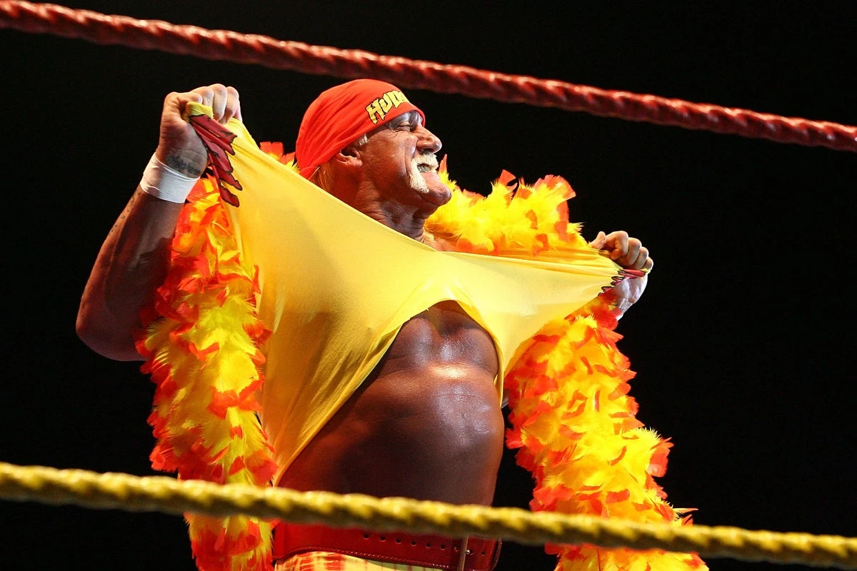 Hulk Hogan: The divisive wrestling legend who built a global brand