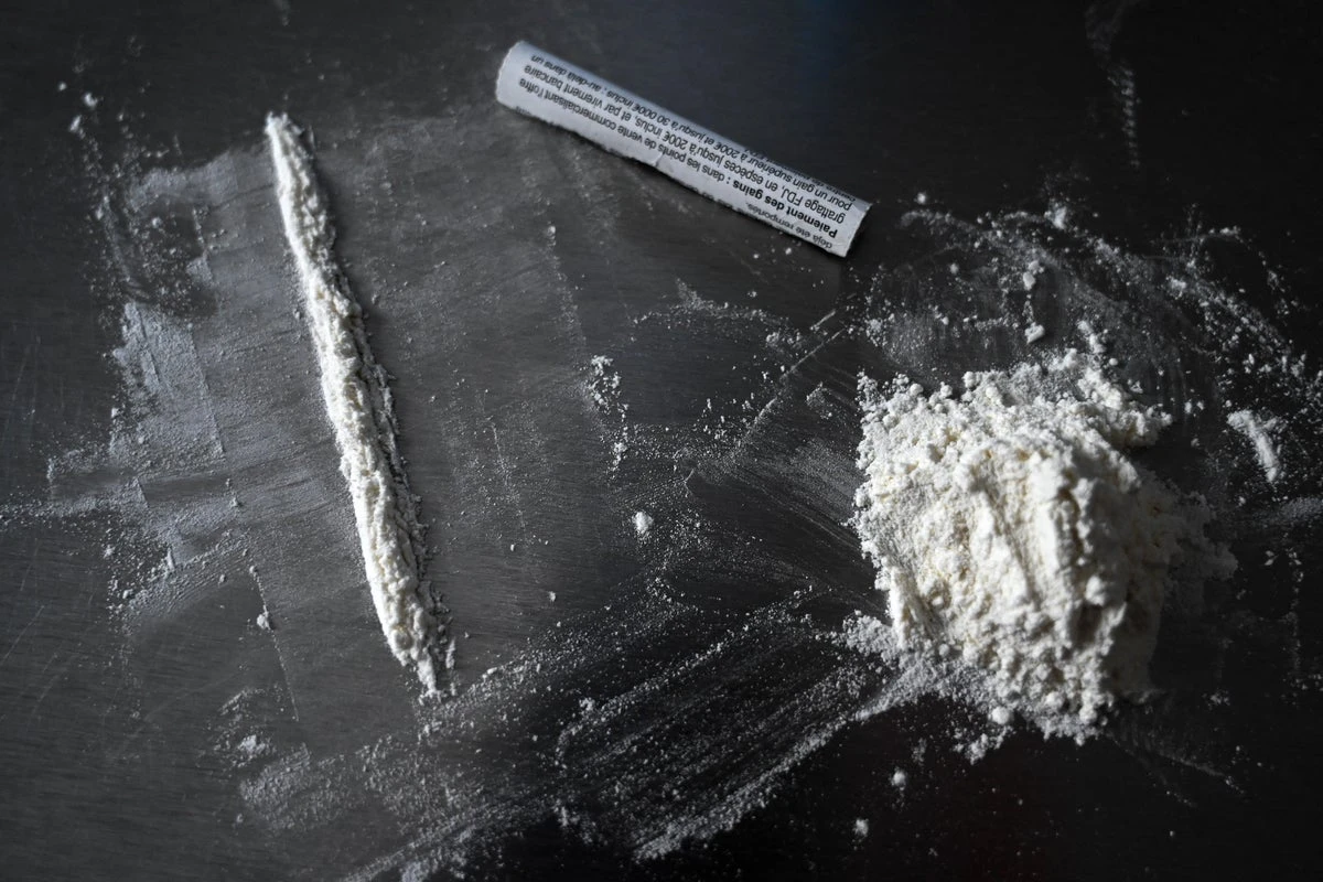 Cocaine salmon found swimming farther and dispersing more widely