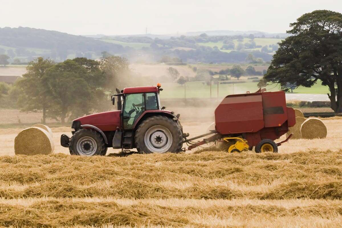 Farm incomes drop by 50%, figures reveal as ‘tractor tax’ fears grow