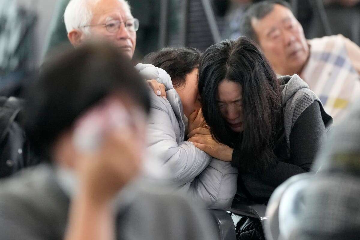 Experts doubt bird strike theory as Jeju Air investigation begins