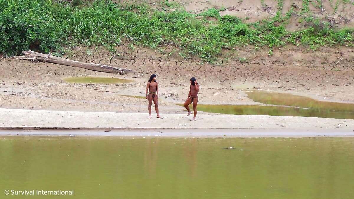 Worlds most isolated tribe kill loggers encroaching on land