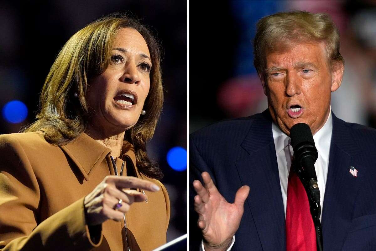 Polls show Harris may have big early voting lead despite Trump claims