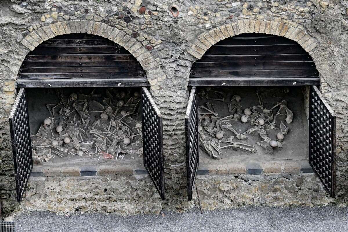 Ancient Roman beach buried by Mount Vesuvius eruption reopens