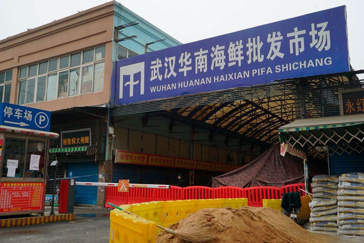 ‘Beyond reasonable doubt’ Covid pandemic originated at Wuhan market