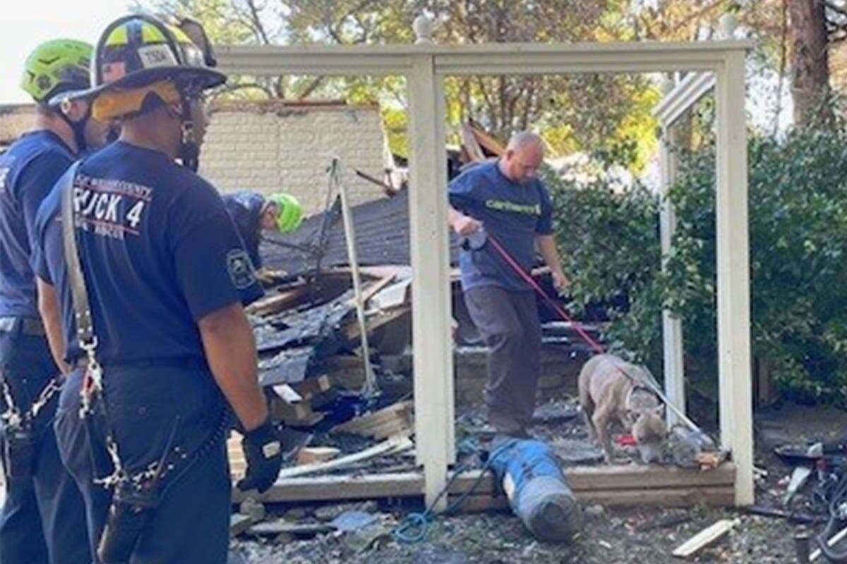 Dog rescued from rubble six days after DC-area home explodes