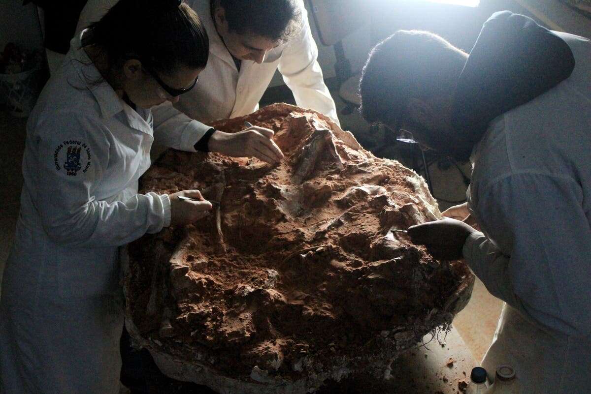 Heavy rains in Brazil unearth what could be oldest dinosaur fossil