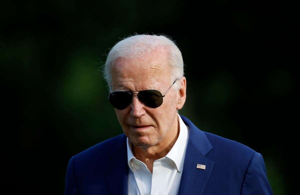 Junior Navy sailor tried to access Biden’s medical records three times