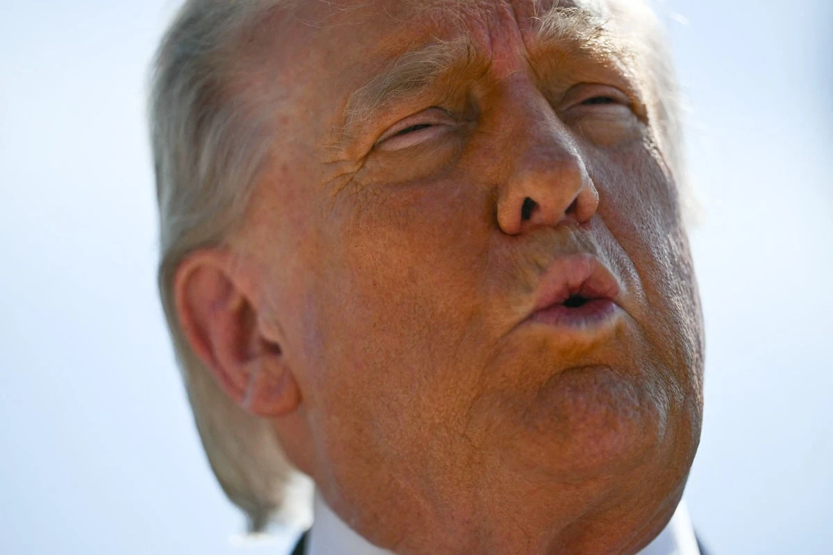 Trump’s IRS drops investigations into president, family and companies