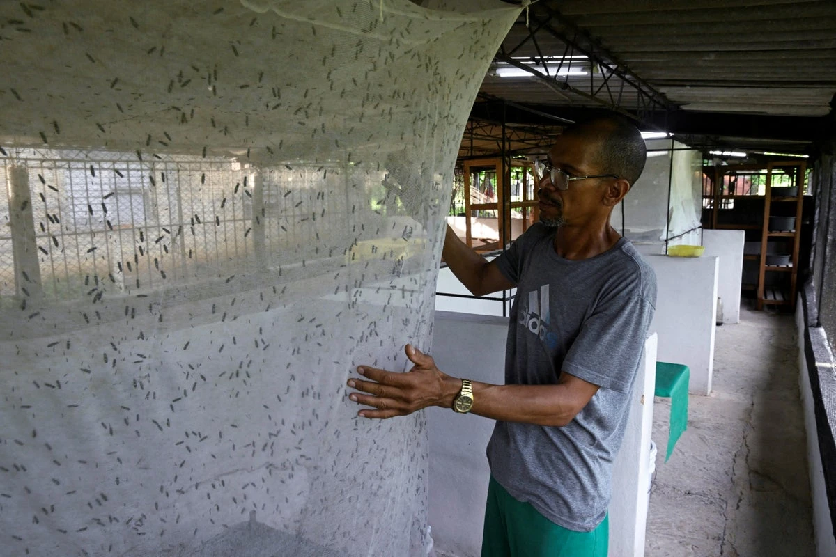 The money-spinning doctor who swapped medicine to breed flies
