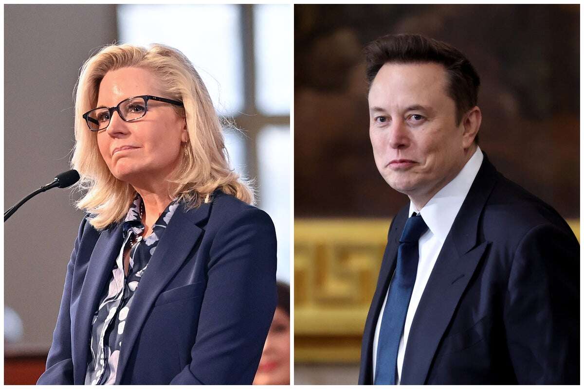 Liz Cheney takes a swipe at Elon Musk's citizenship