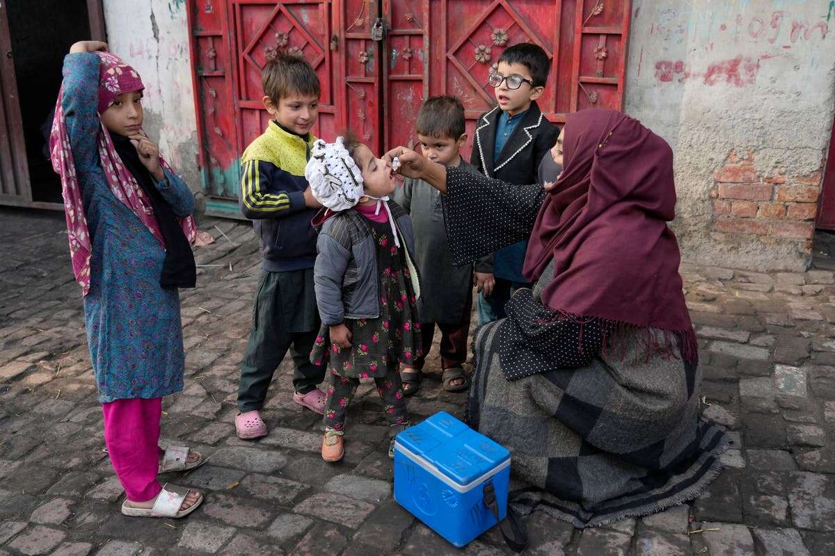 Pakistan postpones polio vaccination drive