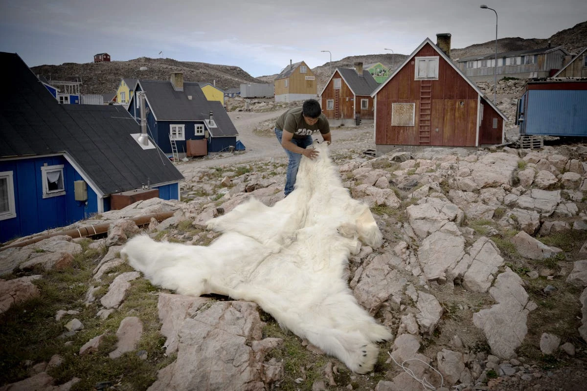 Polar bear-inspired sweater keeps wearer warm at fraction of thickness