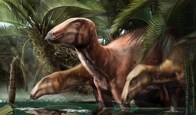 Trove of new dinosaur fossils helps rewrite Italy’s prehistory