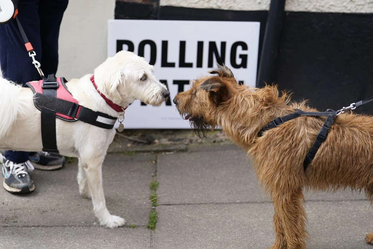 When will local election results be announced for my area?