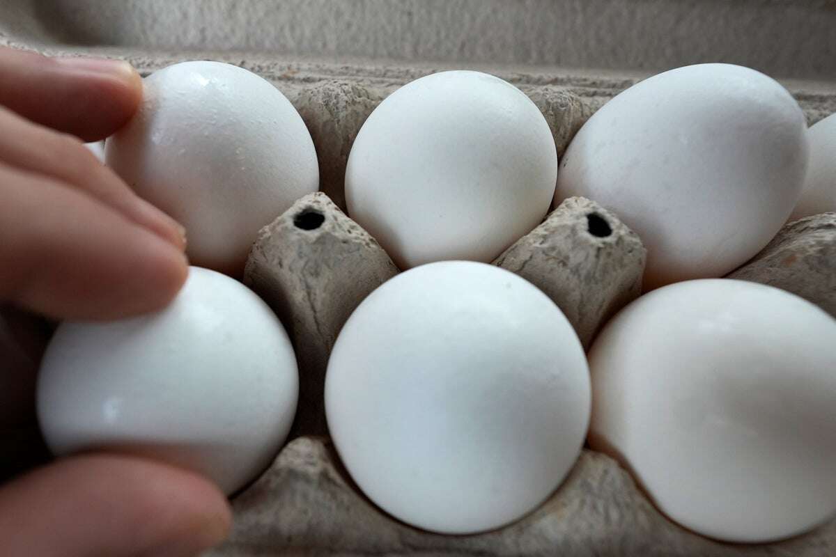 Police yet to crack the case of who stole 100,000 eggs