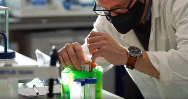 ‘Vegan spider silk’ is sustainable alternative to single-use plastics