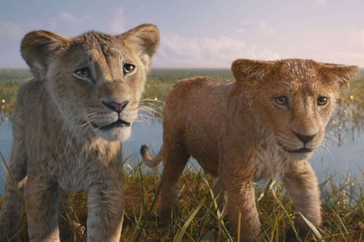 The Lion King 2 is a catastrophic waste of Oscar winner Barry Jenkins