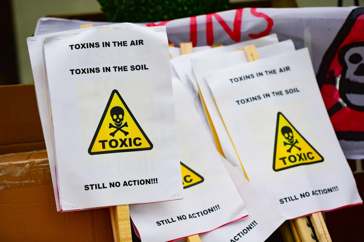 Cancer and Alzheimer’s ‘strongly’ linked to toxic chemicals in food