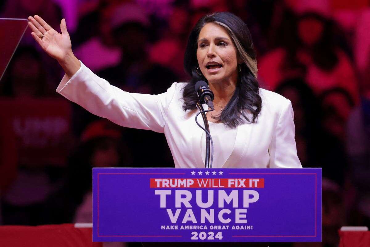 Trump will nominate Tulsi Gabbard as Director of National Intelligence