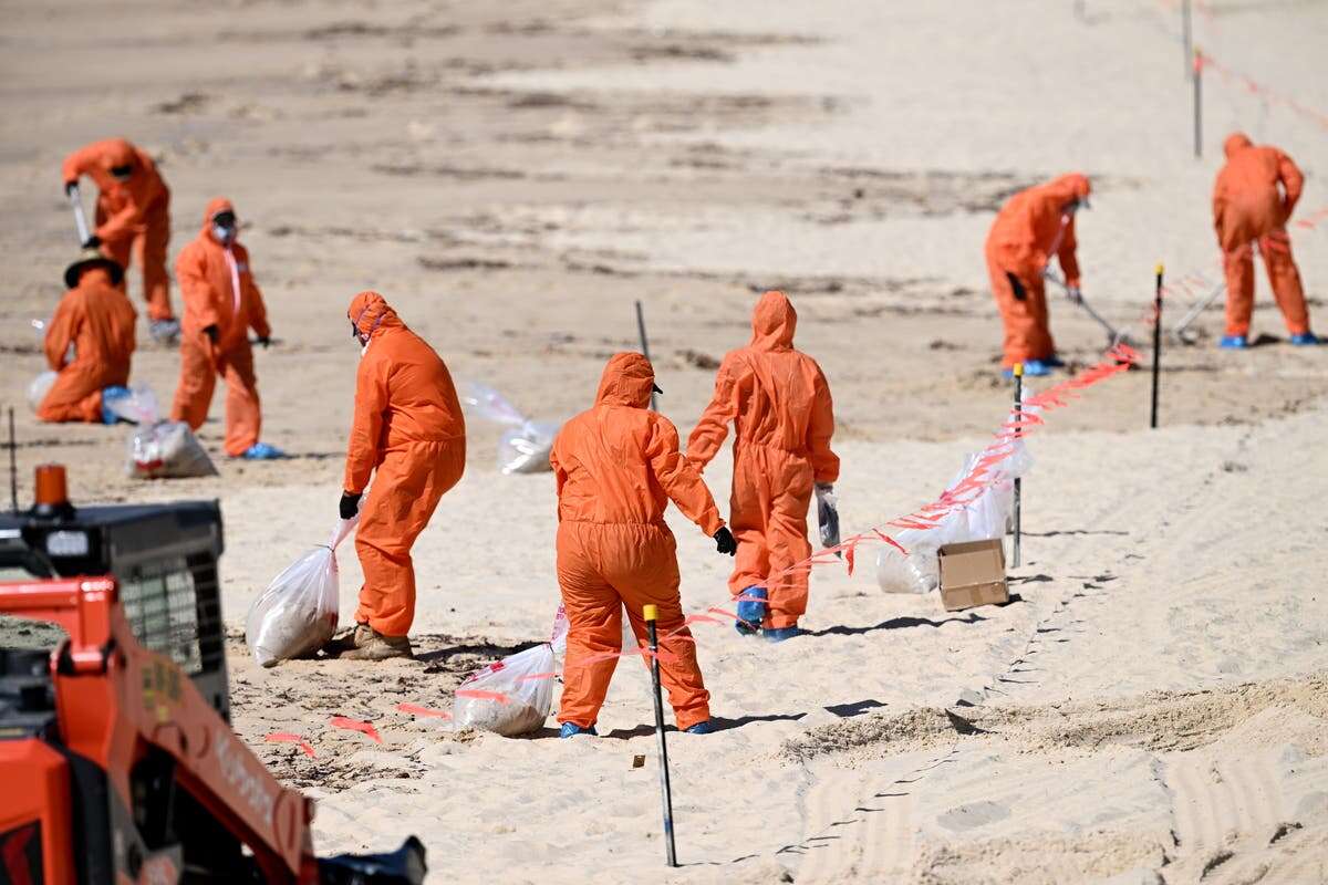 Sydney beaches closed after discovery of mysterious marble-sized balls