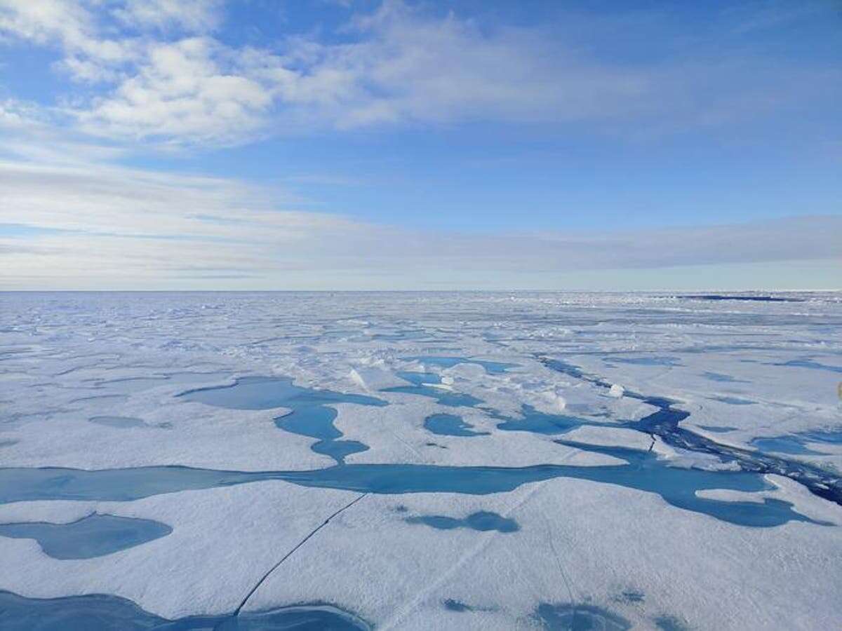 Nearly all Arctic sea ice could melt by summer 2027, scientists warn