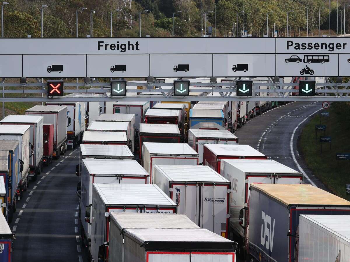 Starmer warned new border control delays ‘prove Brexit does not work’