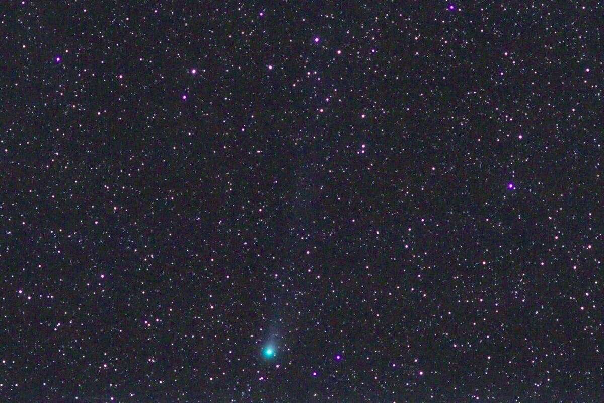 Comet that passes Earth once every 71 years now visible in night sky