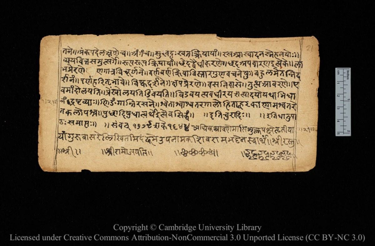 Study finds which world languages are most complex and why