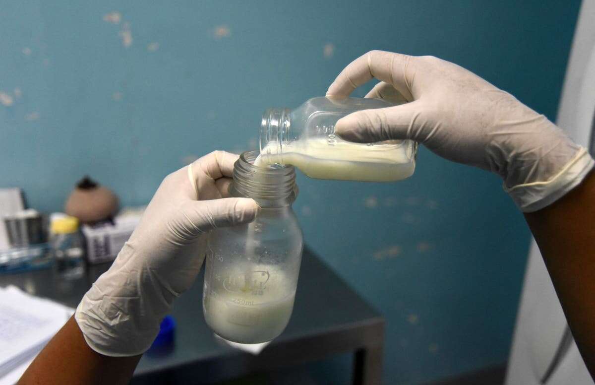 Forever chemicals may hinder child development by altering breast milk