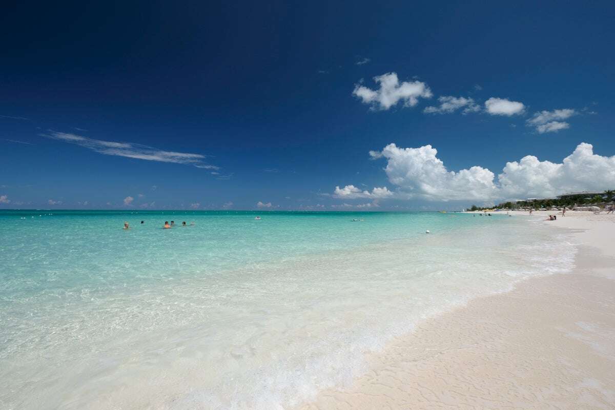 Horror as bull shark bites off both hands of tourist on beach