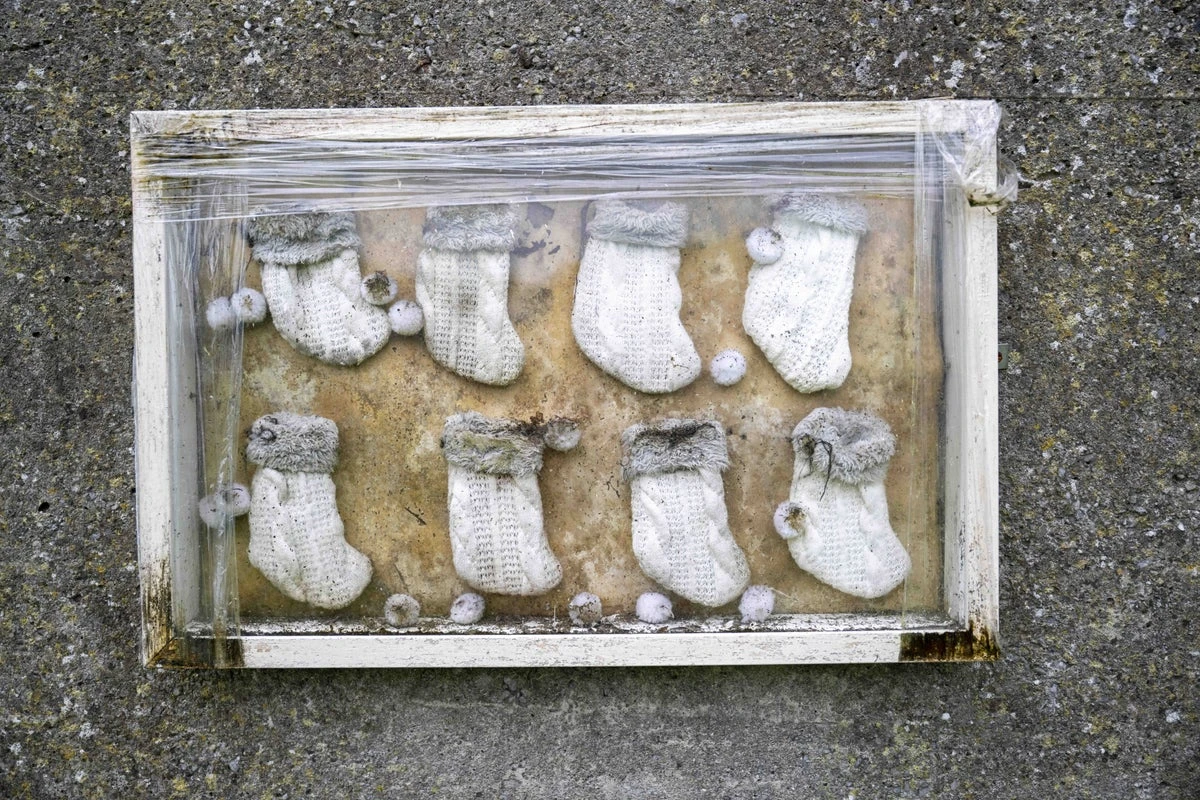 Excavation begins at Irish mother and baby home where 796 infants died