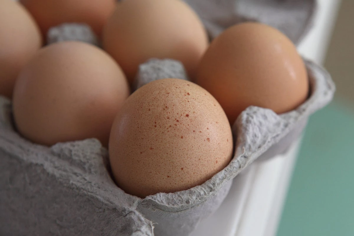 Nearly 100 people fall ill in salmonella outbreak linked to eggs