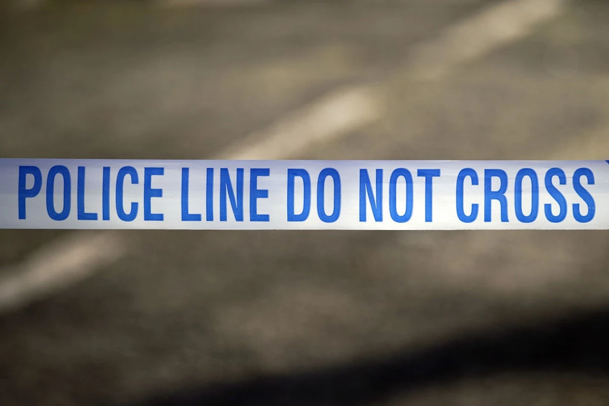 Two arrested after spate of dog attacks leave multiple people injured