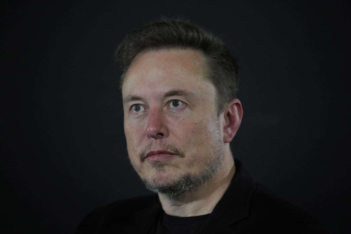 Musk roasted for missing ‘painfully obvious’ message from sci-fi film