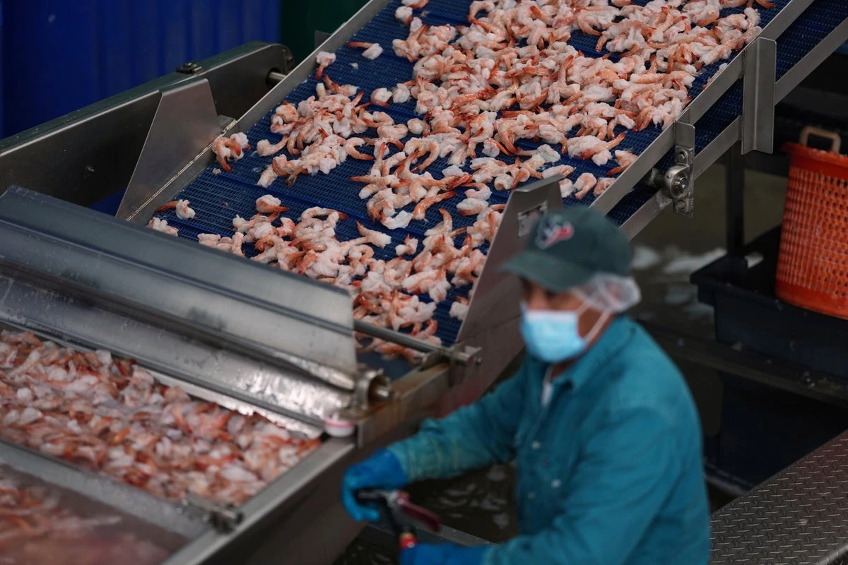 State urges residents to check freezers for radioactive shrimp