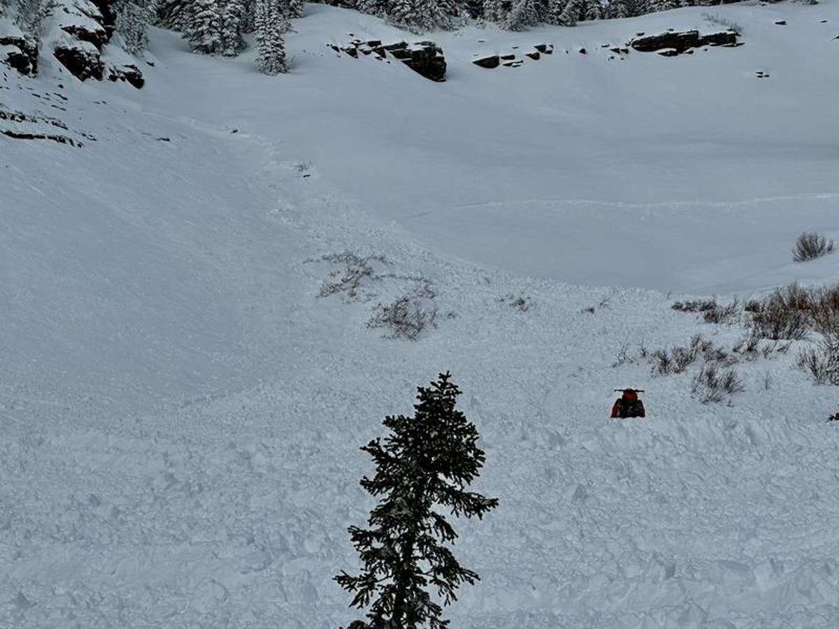 Utah brother triggers avalanche but saves sibling buried under snow