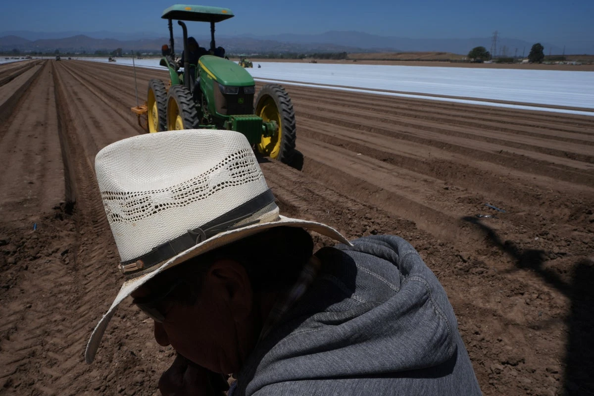 ICE raids and their uncertainty scare off workers and baffle businesses