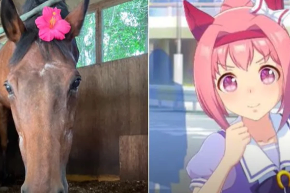 Japanese racehorse that lost all her races dies aged 29